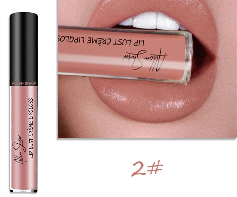 Silky Cream Texture Lip Gloss Aliexpress Shopee Cross - Border Exclusive Lip Glaze Lip Gloss Lipstick - Rezaro