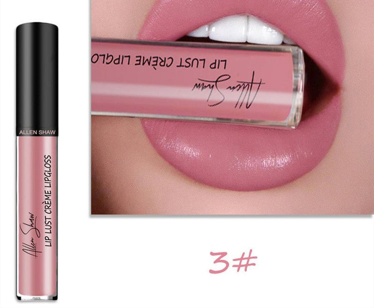 Silky Cream Texture Lip Gloss Aliexpress Shopee Cross - Border Exclusive Lip Glaze Lip Gloss Lipstick - Rezaro
